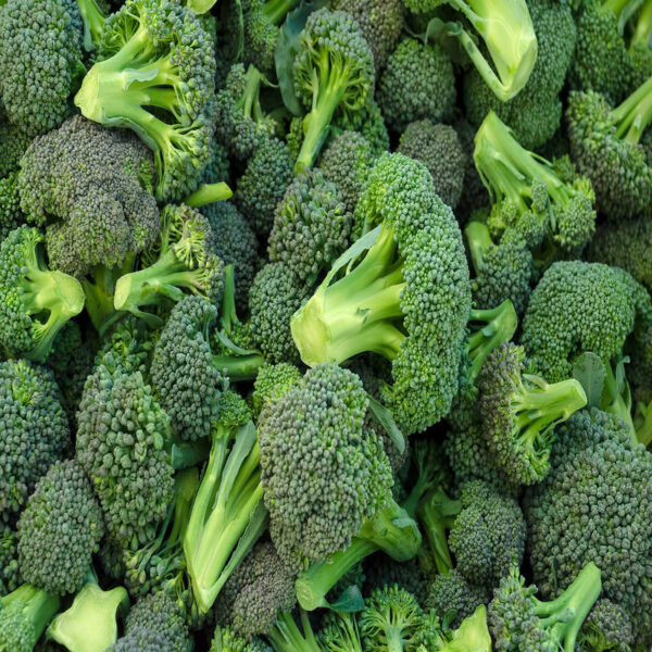 Nuwara Eliya Broccoli