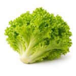 Nuwara Eliya Lettuce