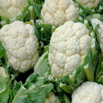 Nuwara Eliya Cauliflower