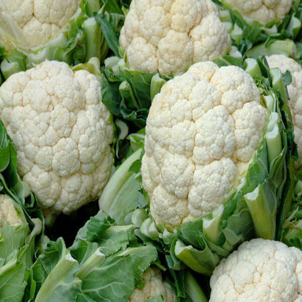 Nuwara Eliya Cauliflower