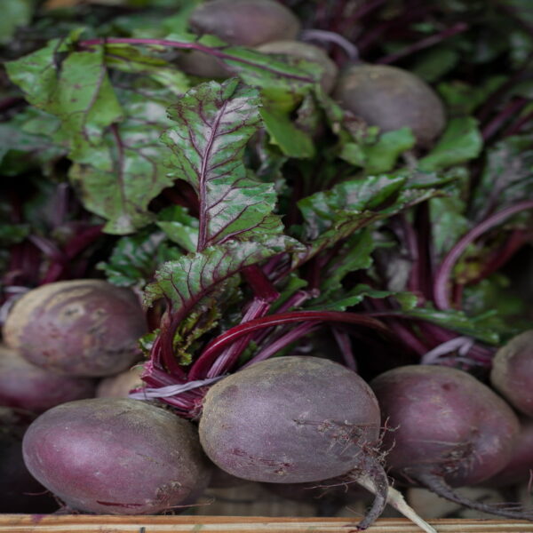 Nuwara Eliya Beetroot