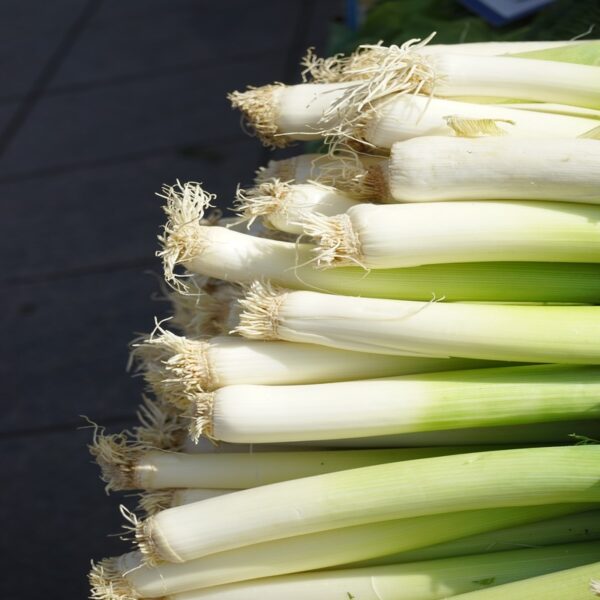 Nuwara Eliya Leeks