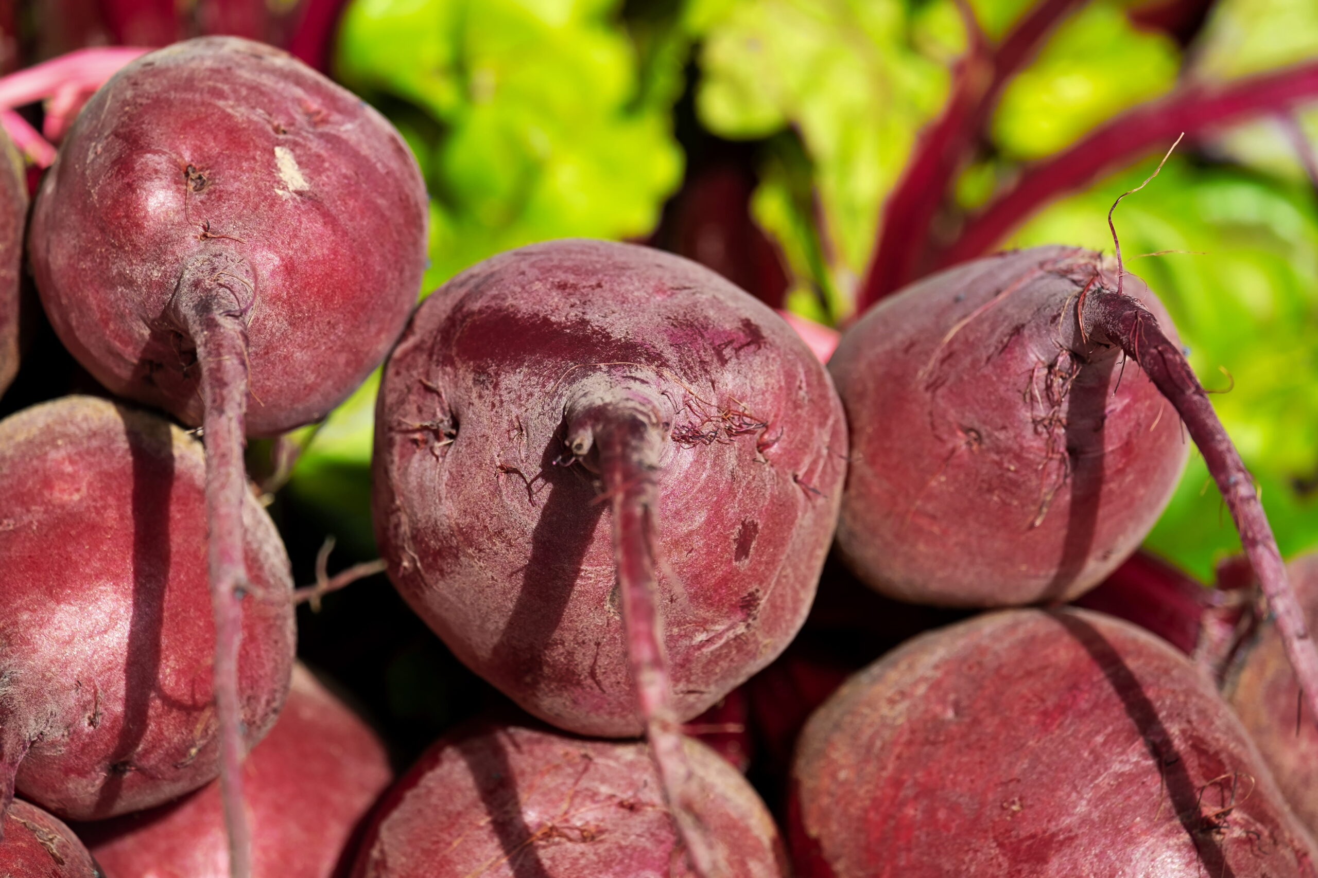 Nuwara Eliya Beetroot