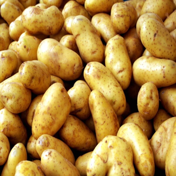 Nuwara Eliya Potatoes