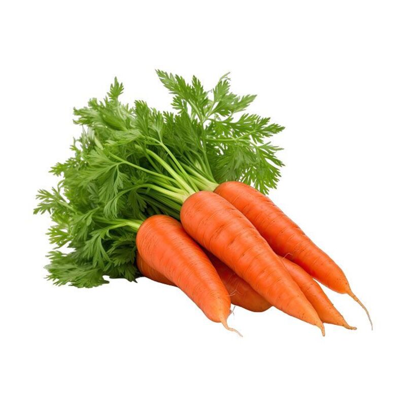 Nuwara Eliya Carrot