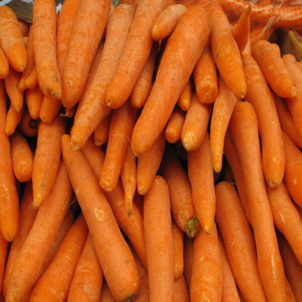 Nuwara Eliya Carrot